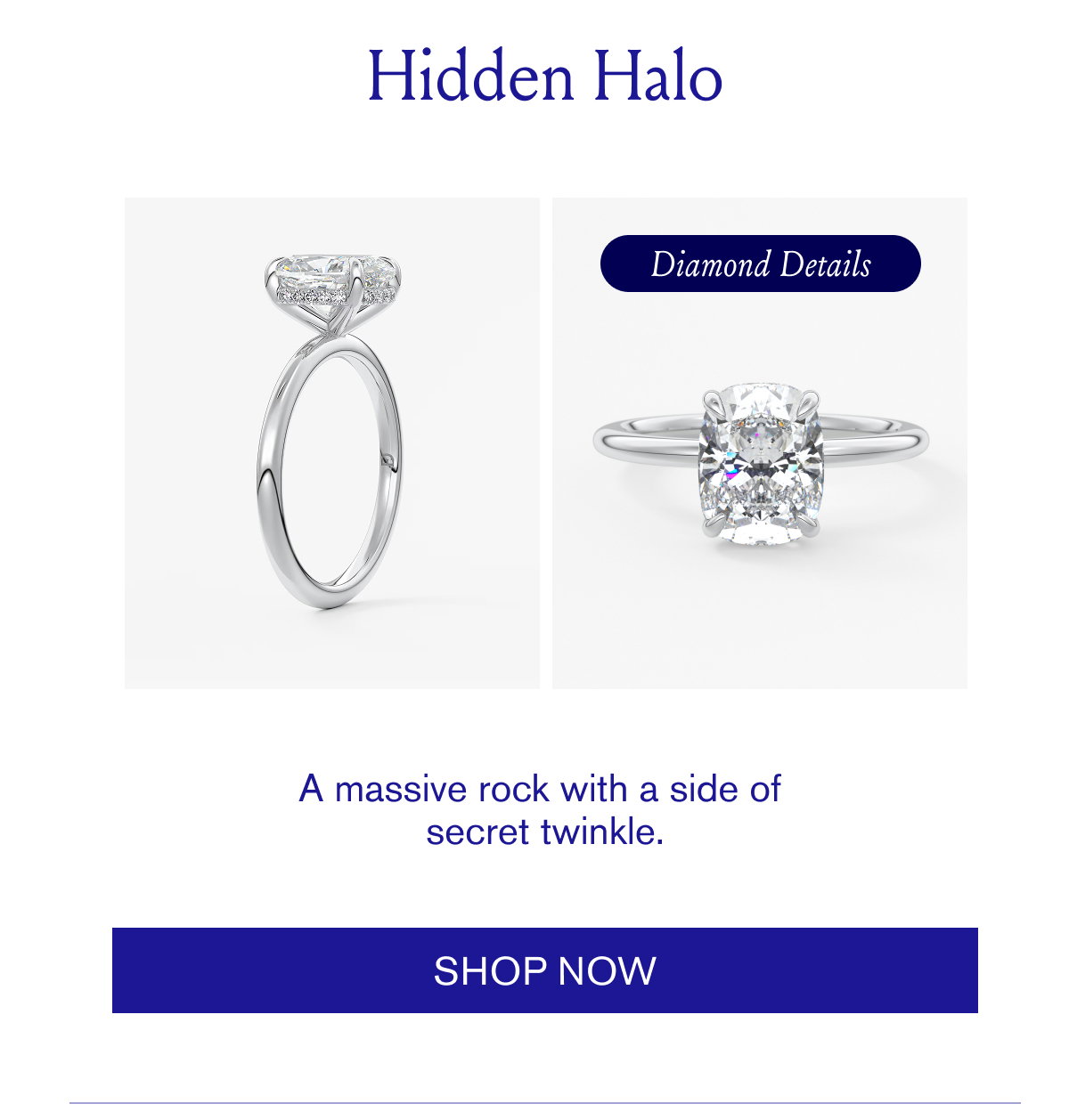 shop now