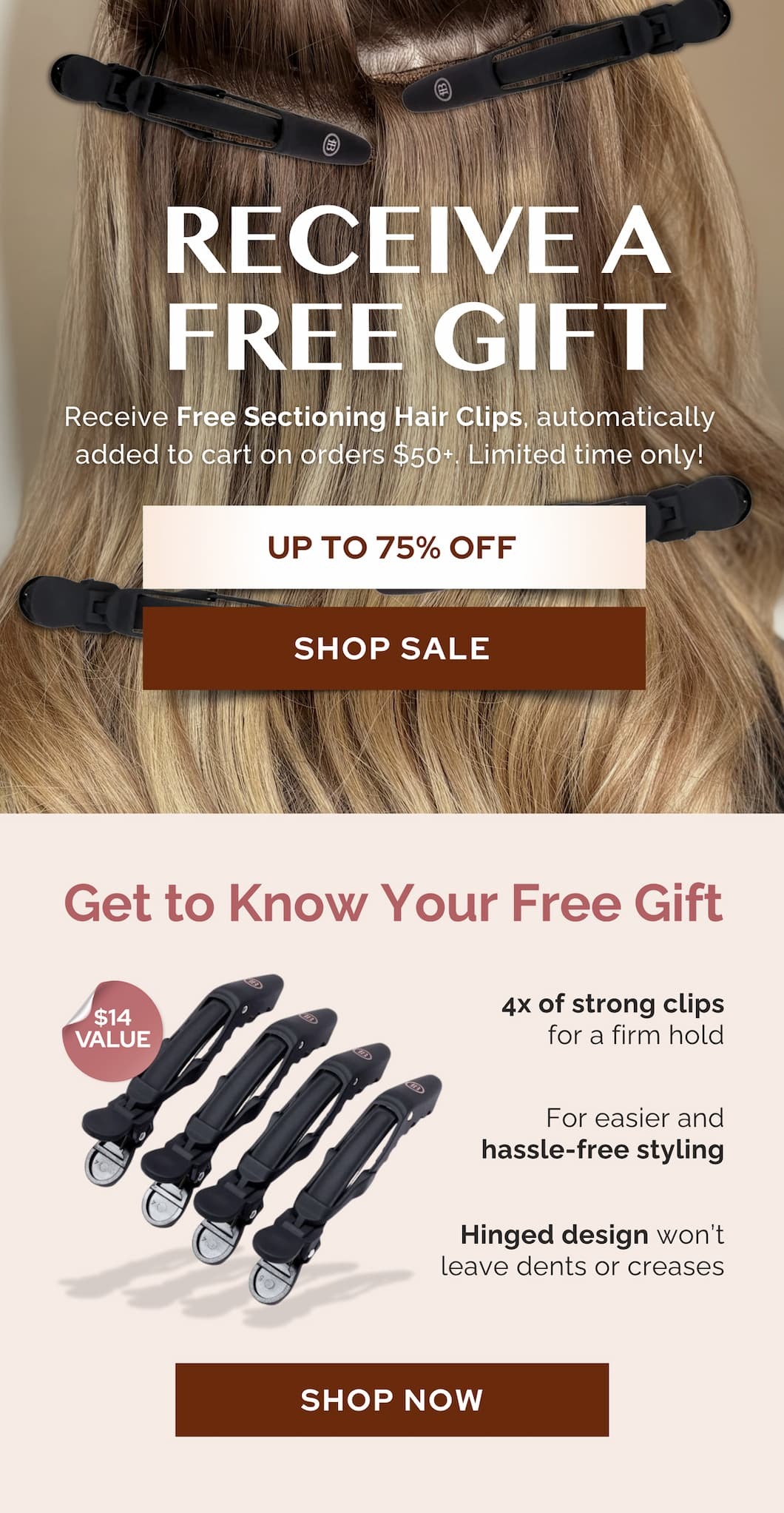 Limited time access, secure your gift