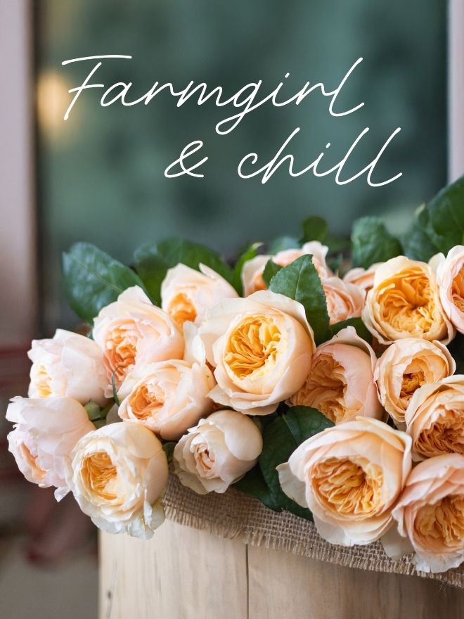 Image shows a bouquet of peach garden roses on a wooden stump by a window. Text reads 
