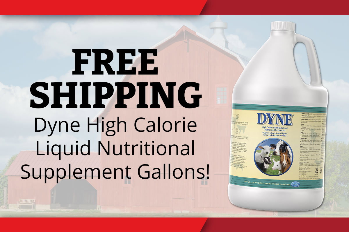 Free Shipping on Dyne High Calorie Liquid Nutritional Supplement Gallons