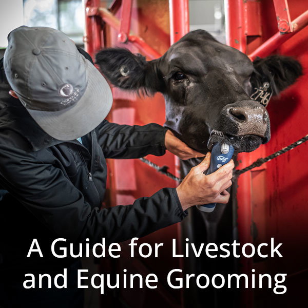 A Guide for Livestock and Equine Grooming