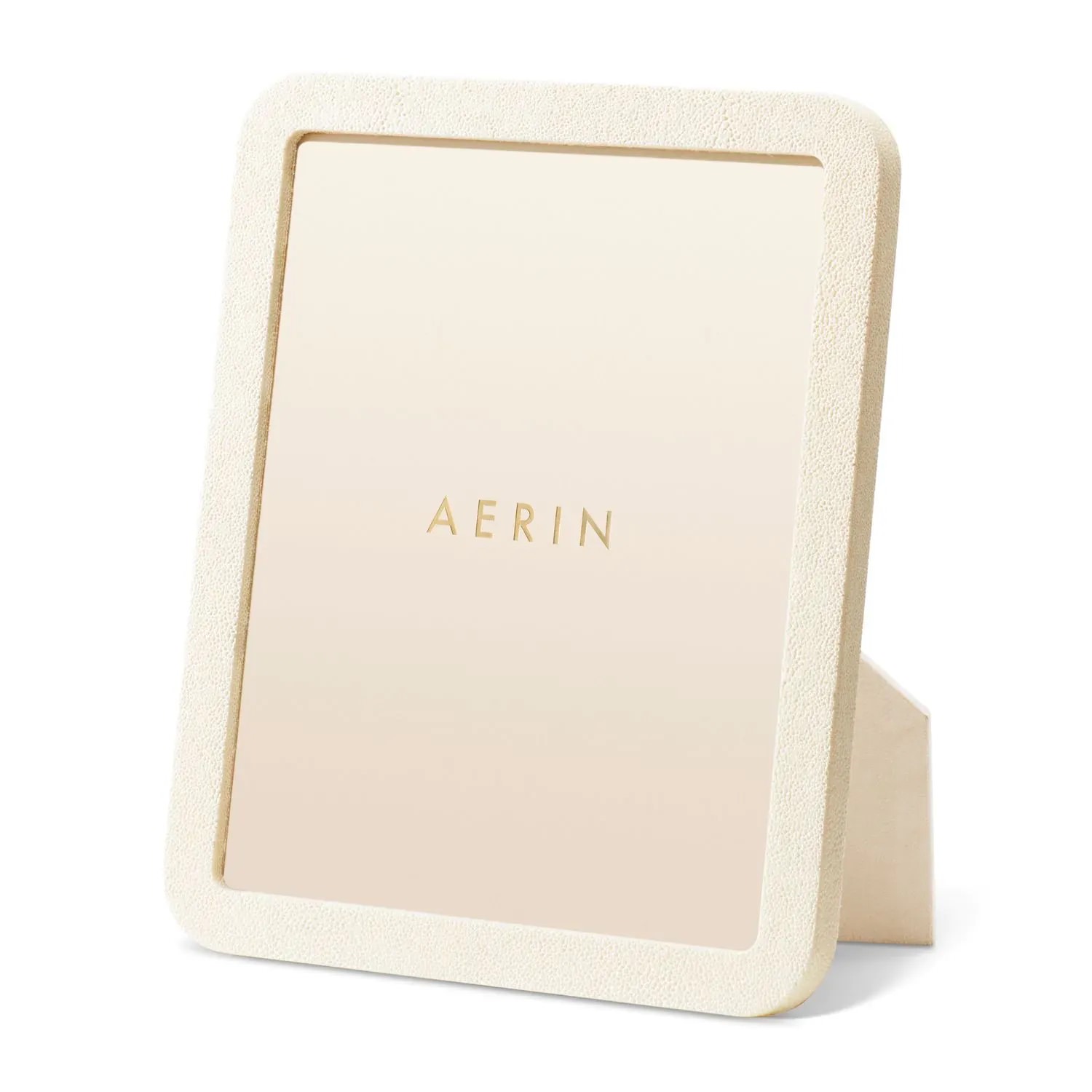 MODERN SHAGREEN 8X10 FRAME