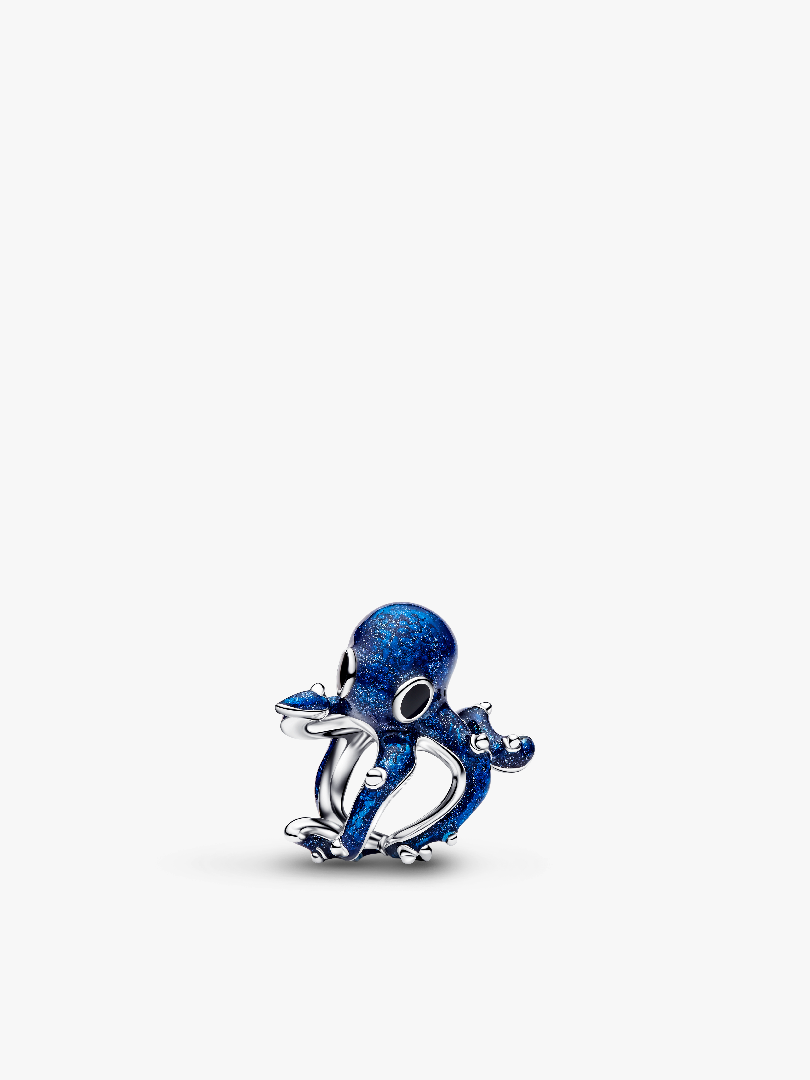 Blauwe Inktvis Bedel