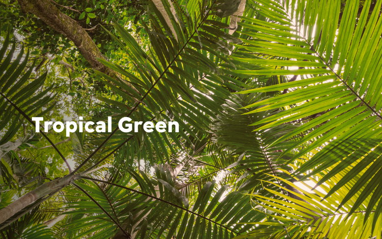 Green palm fronds in a jungle with text: Tropical Green