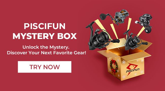 Reel Mystery Box