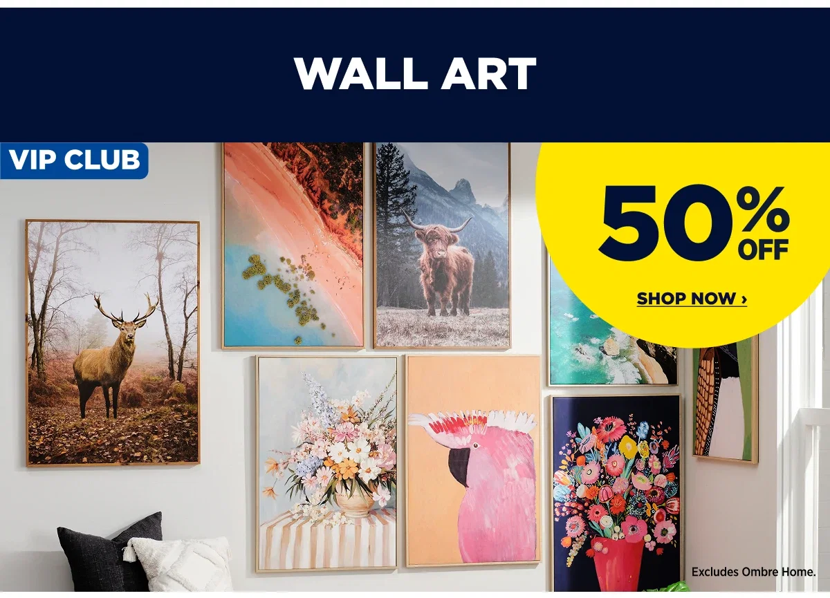VIP 50%off Wall Art