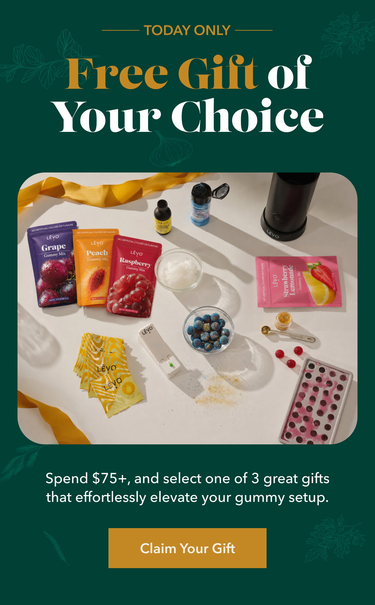 Today Only: Fre Gift of your choice