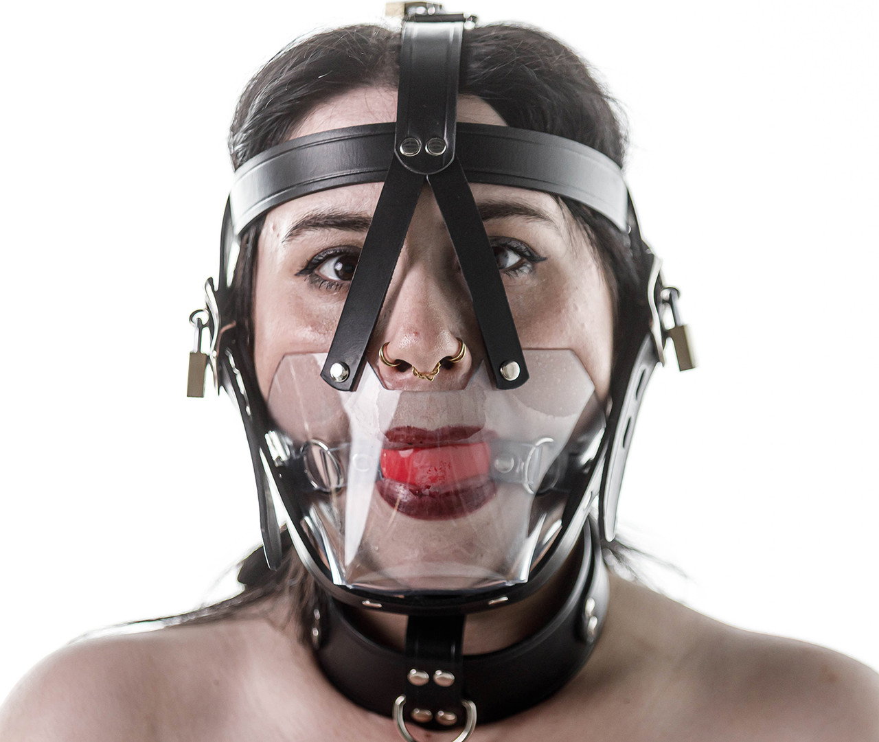 Image of Head harness clear muzzle 