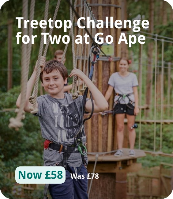 Treetop Challenge for Two at Go Ape