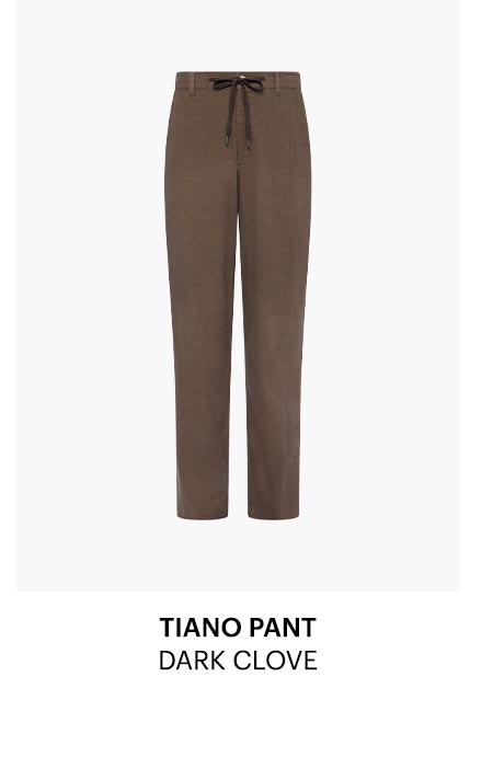 Tiano Pant in Dark Clove Linen