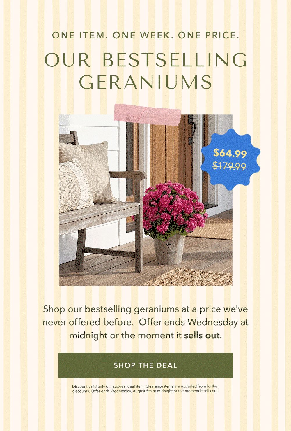 Our Bestselling Geraniums, Priced Like Never Before