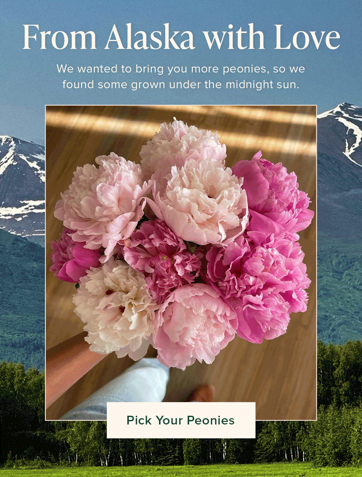 From Alaska with Love. We wanted to bring you more peonies, so we found some grown under the midnight sun. Pick Your Peonies
