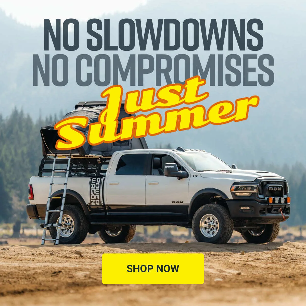 summer sale