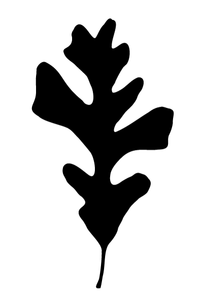 Ginew's Genesis Leaf