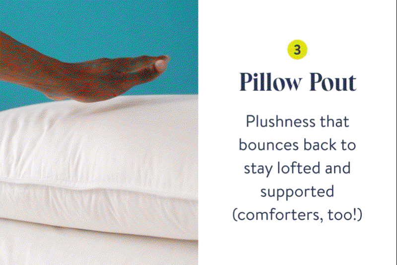 Pillow Pout