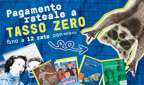 Fino a 12 rate a tasso zero
