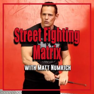 Street Fighter Matrix
