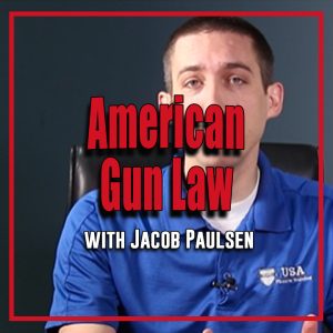 American Gun Law