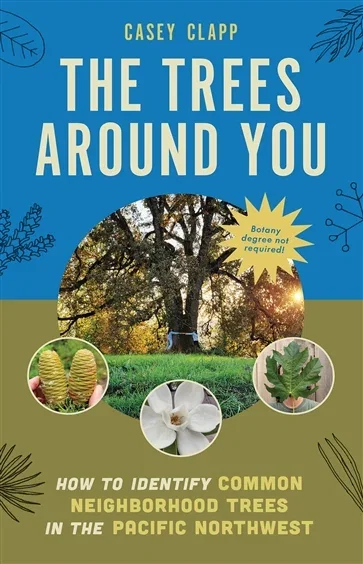 The Trees Around You, by Casey Clapp