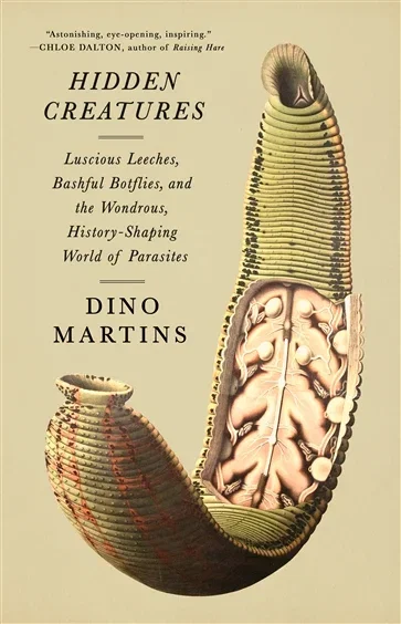 Hidden Creatures, by Dino Martins