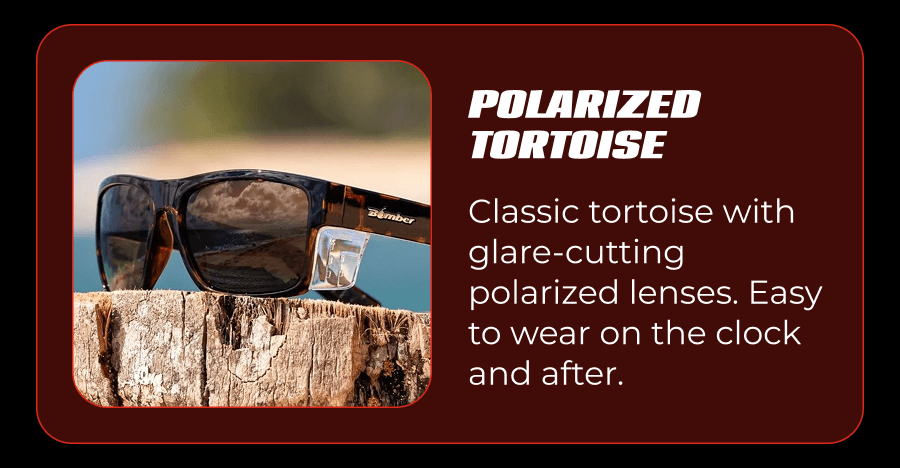 Polarized Tortoise