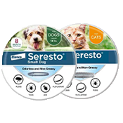 seresto collar