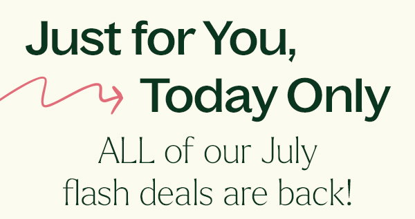 All Flash Deals BACK: Today Only