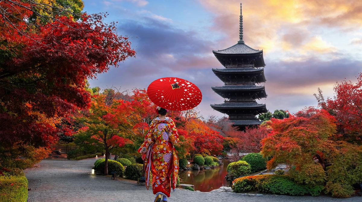 Deluxe 15-Day Best of Japan with Tokyo, Hiroshima & Osaka 
