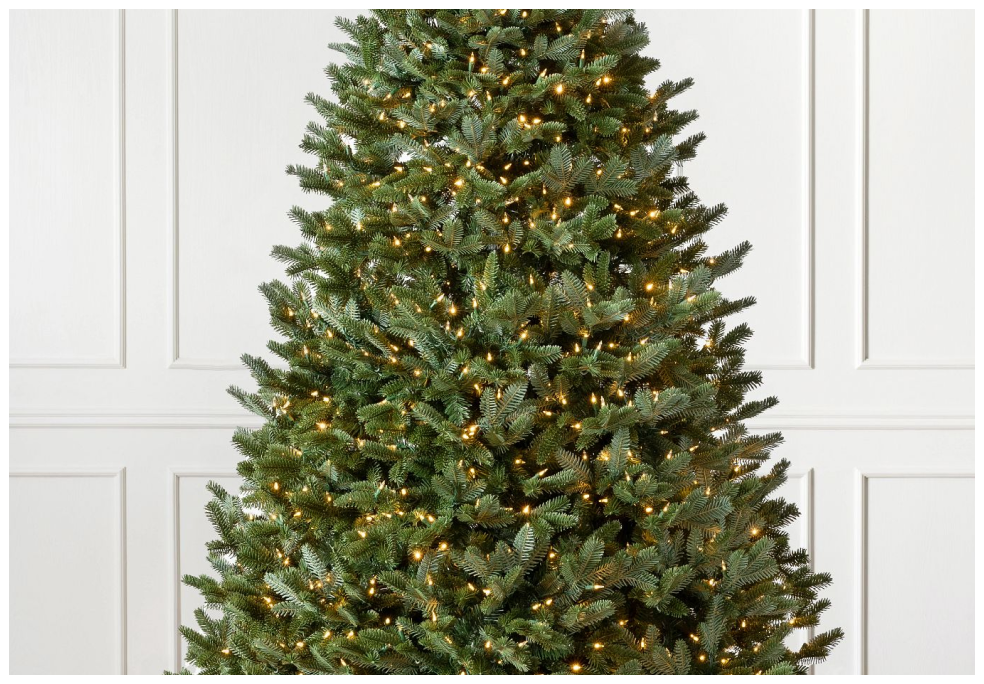 BH Fraser Fir®