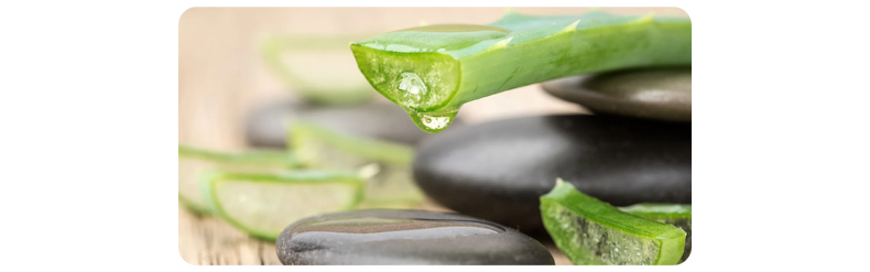 7 of the best ingredients for sensitive skin