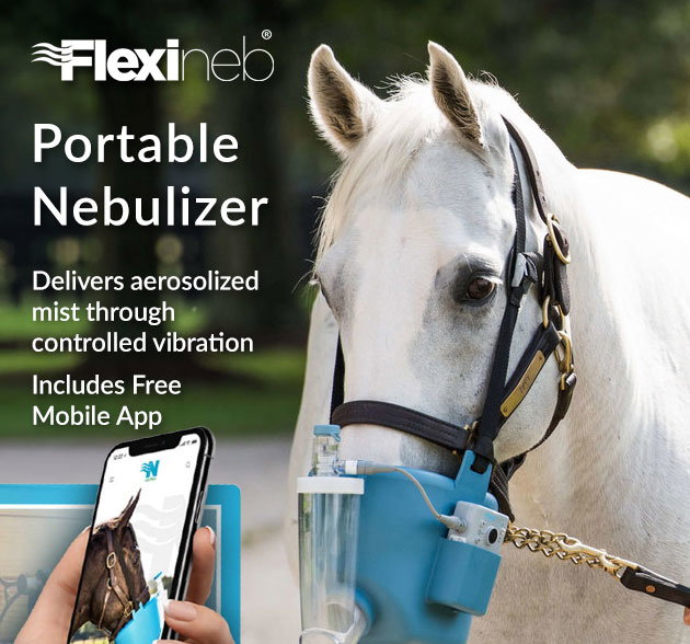 Flexineb nebulizer system