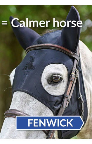 Fenwick equestrian therapy