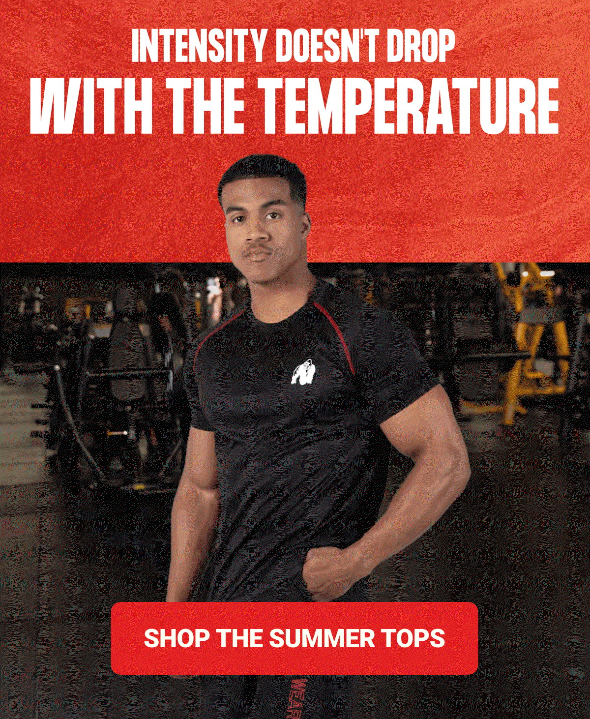 iNTENSITY DOESN'T DROP WITH THE TEMPERATURE - Shop the summer TOPS