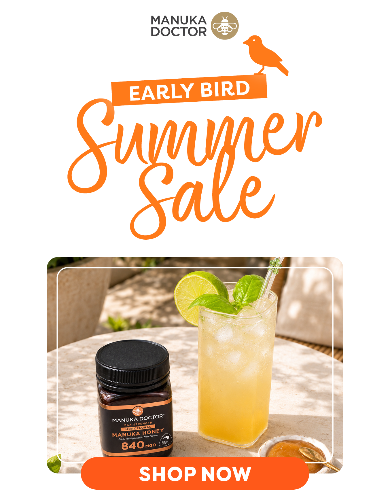 Early Bird - Summer Sale - Shop Now
