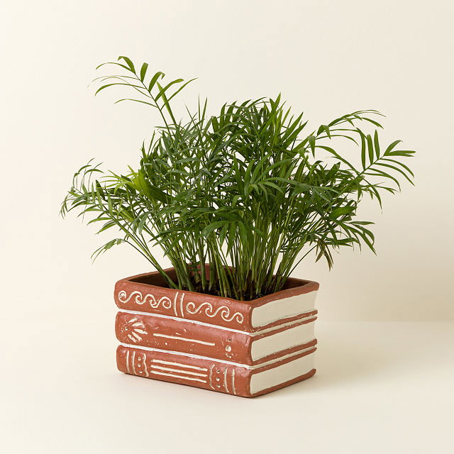 Book Stack Terracotta Planter