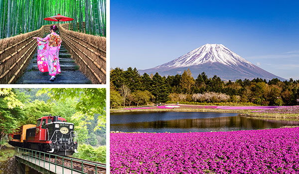 Immersive Celebrity Japan Voyage with Scenic Rail Adventures and Airfare