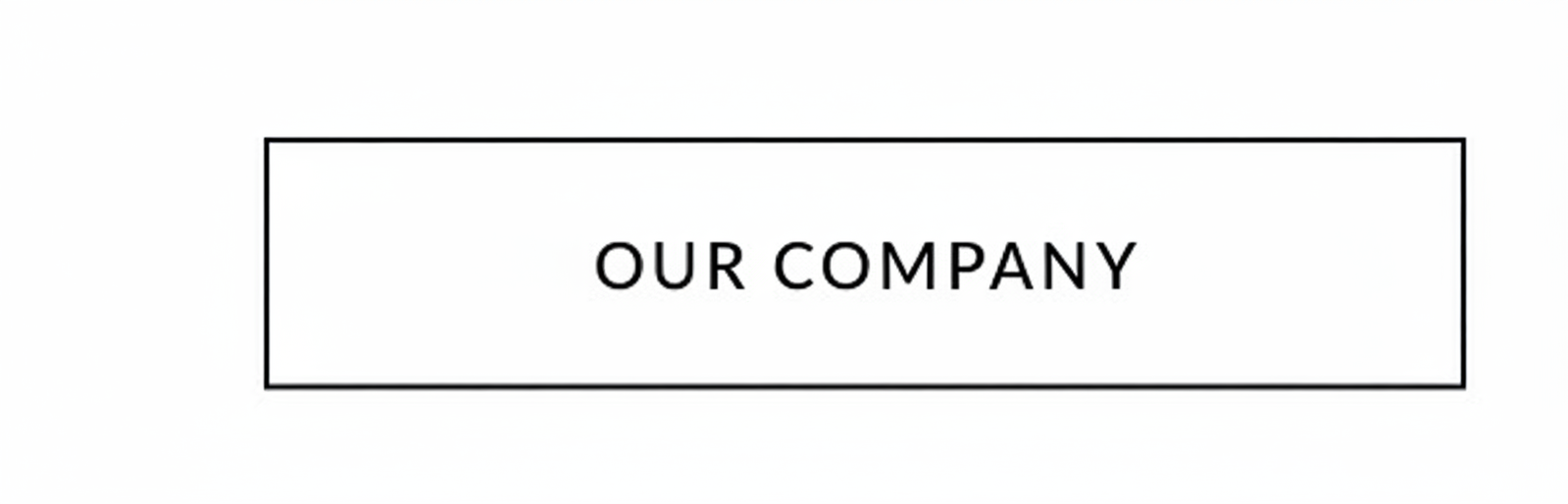 Our Company