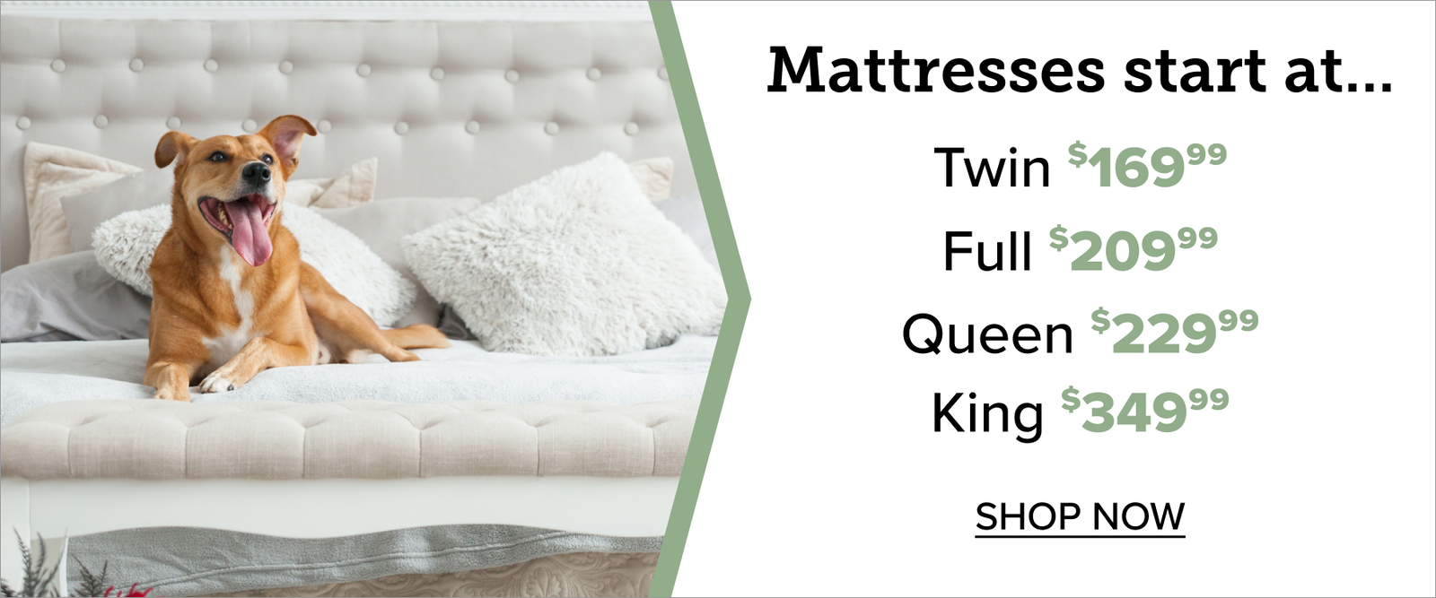 Mattress Starting Points