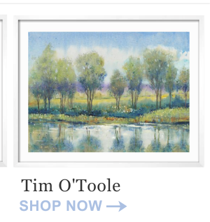 Tim O'Toole - Shop Now
