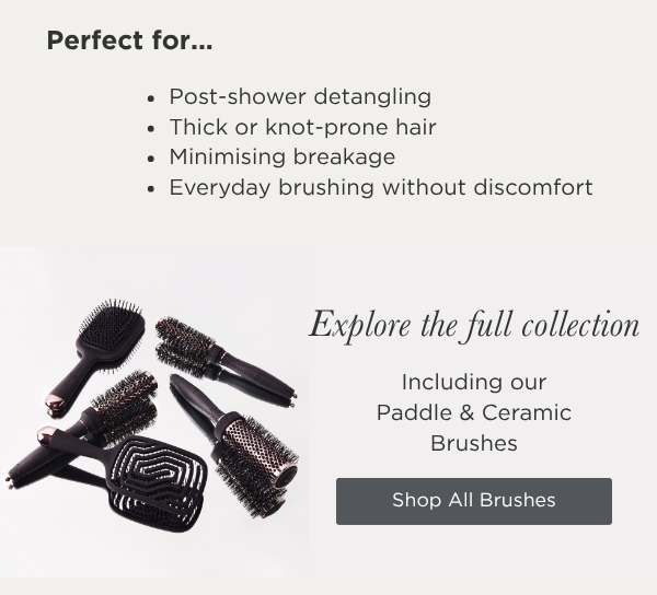 Explore the full collection