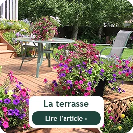 Que faire au balcon et à la terrasse en août ?