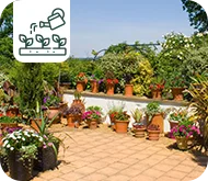 Que faire au jardin et sur la terrasse en cas de grosse vague de chaleur ?