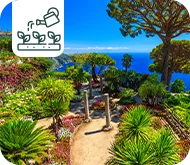 Comment aménager un jardin méditerranéen ?