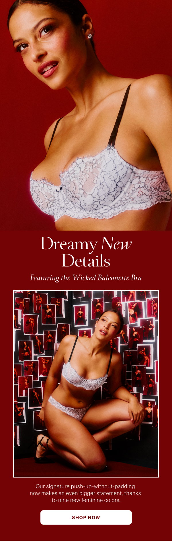 Dreamy New Details
Featuring the Wicked Balconette Bra Our signature push-up-without-padding now makes an even bigger statement, thanks to nine new feminine colors. Shop Now