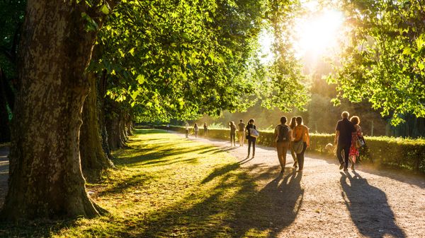 4 sorties nature pour un grand bol d'air