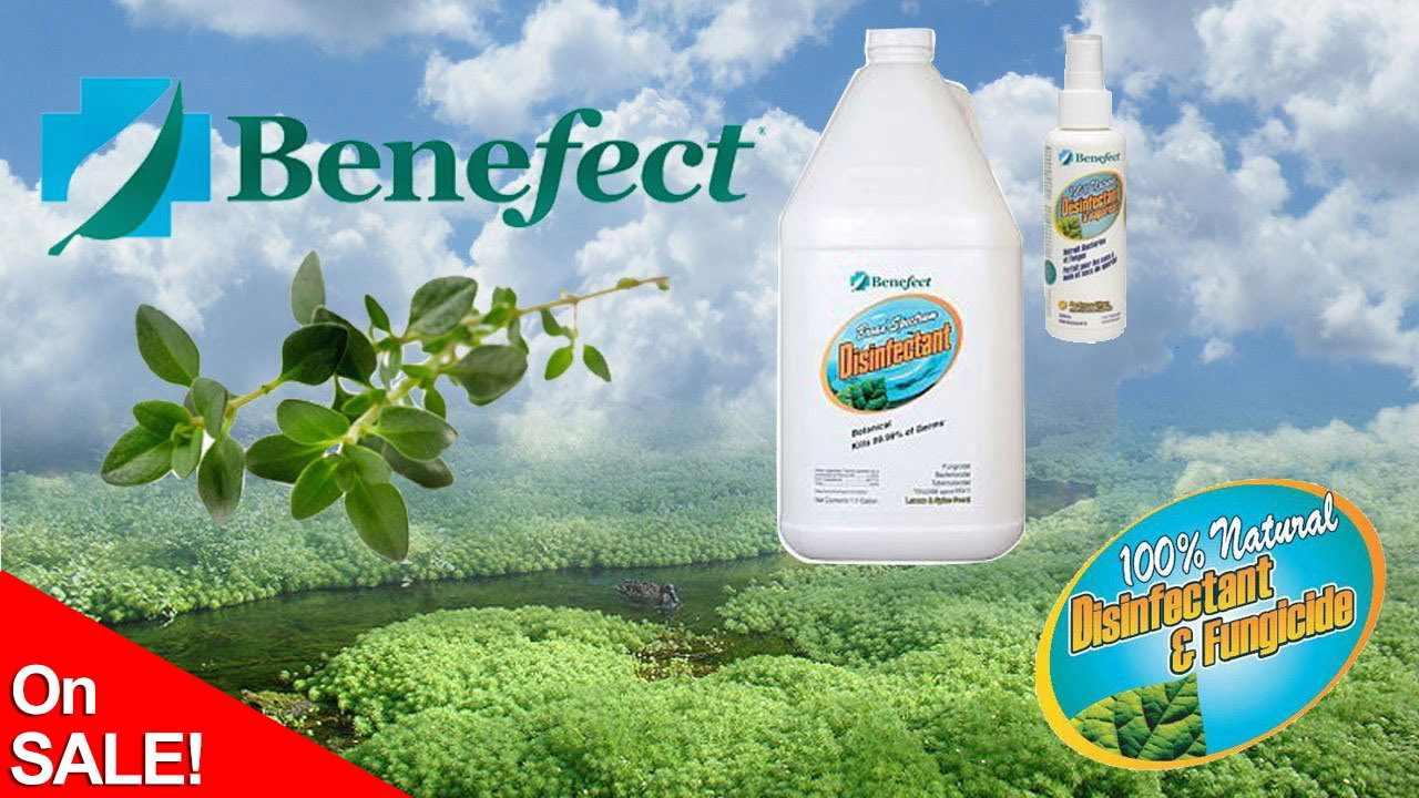 Benefect Nontoxic Disinfectant