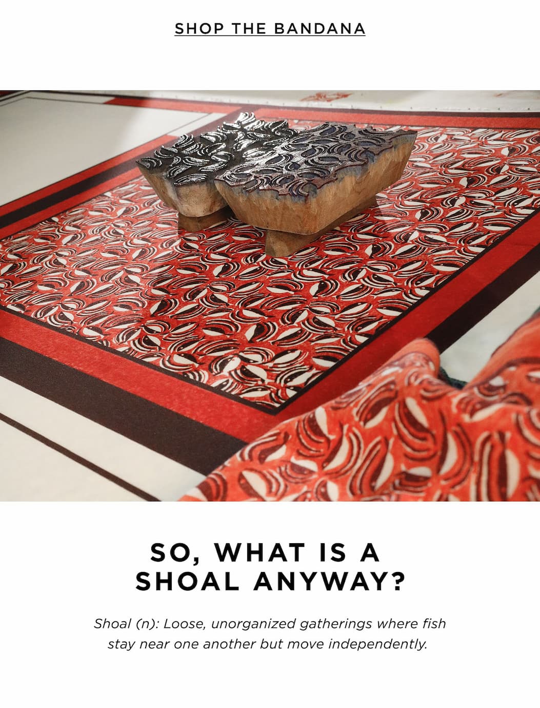 Shoal Of Fish 21" Bandana