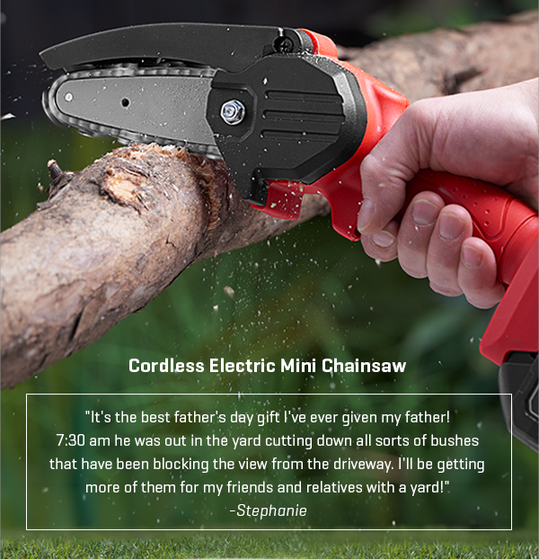 Cordless Electric Mini Chainsaw