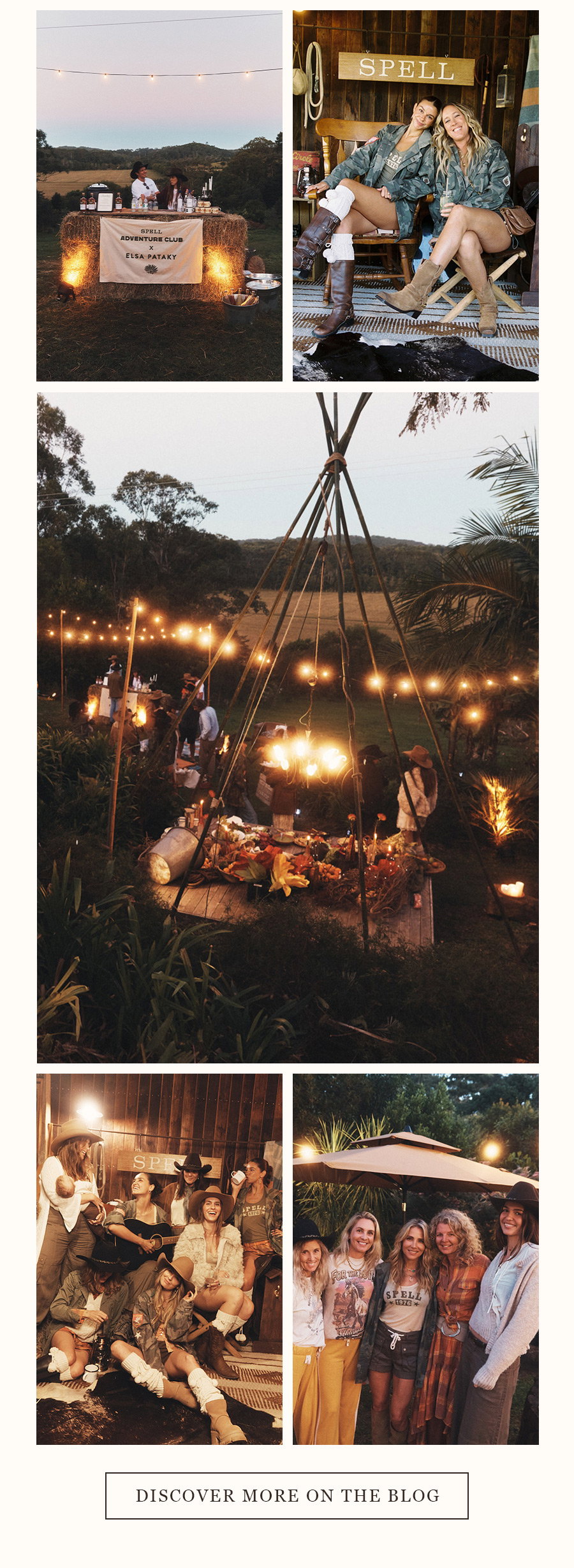 DISCOVER MORE ON THE BLOG