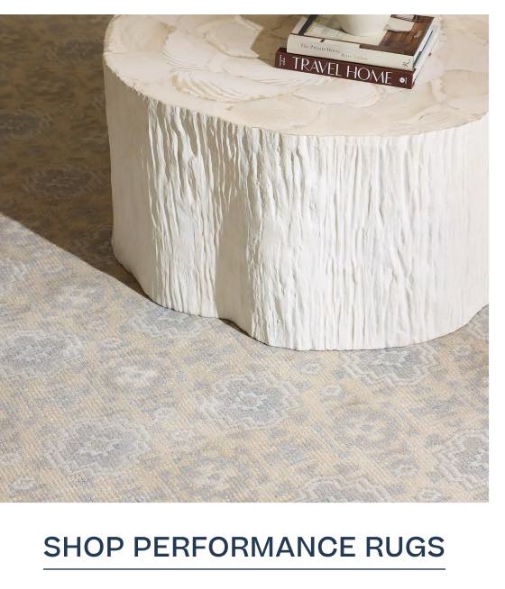 Shop Performance Rugs